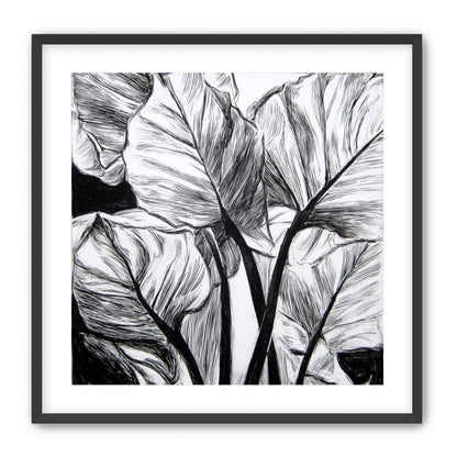 Overlapping Leaves on Dark Ground