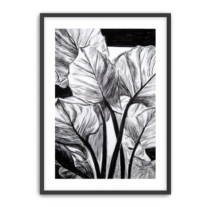 Overlapping Leaves on Dark Ground