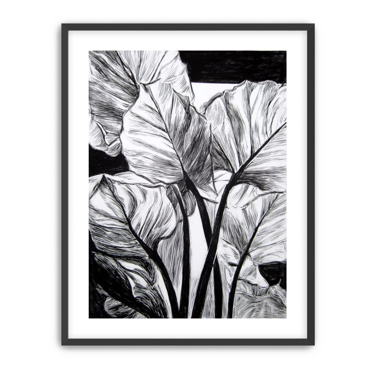 Overlapping Leaves on Dark Ground