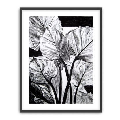 Overlapping Leaves on Dark Ground