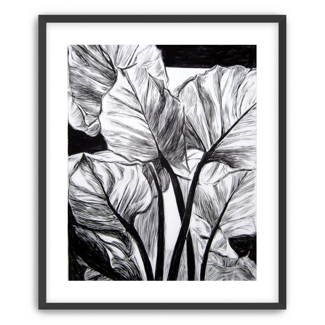 Overlapping Leaves on Dark Ground