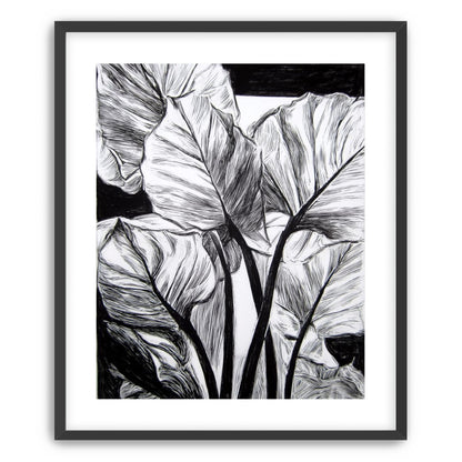 Overlapping Leaves on Dark Ground