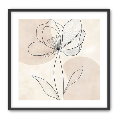 Single Bloom