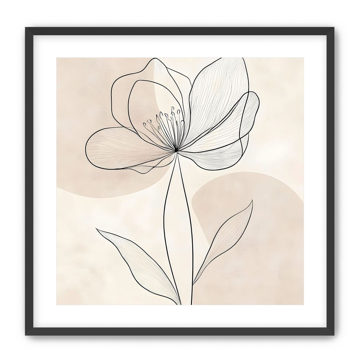 Single Bloom