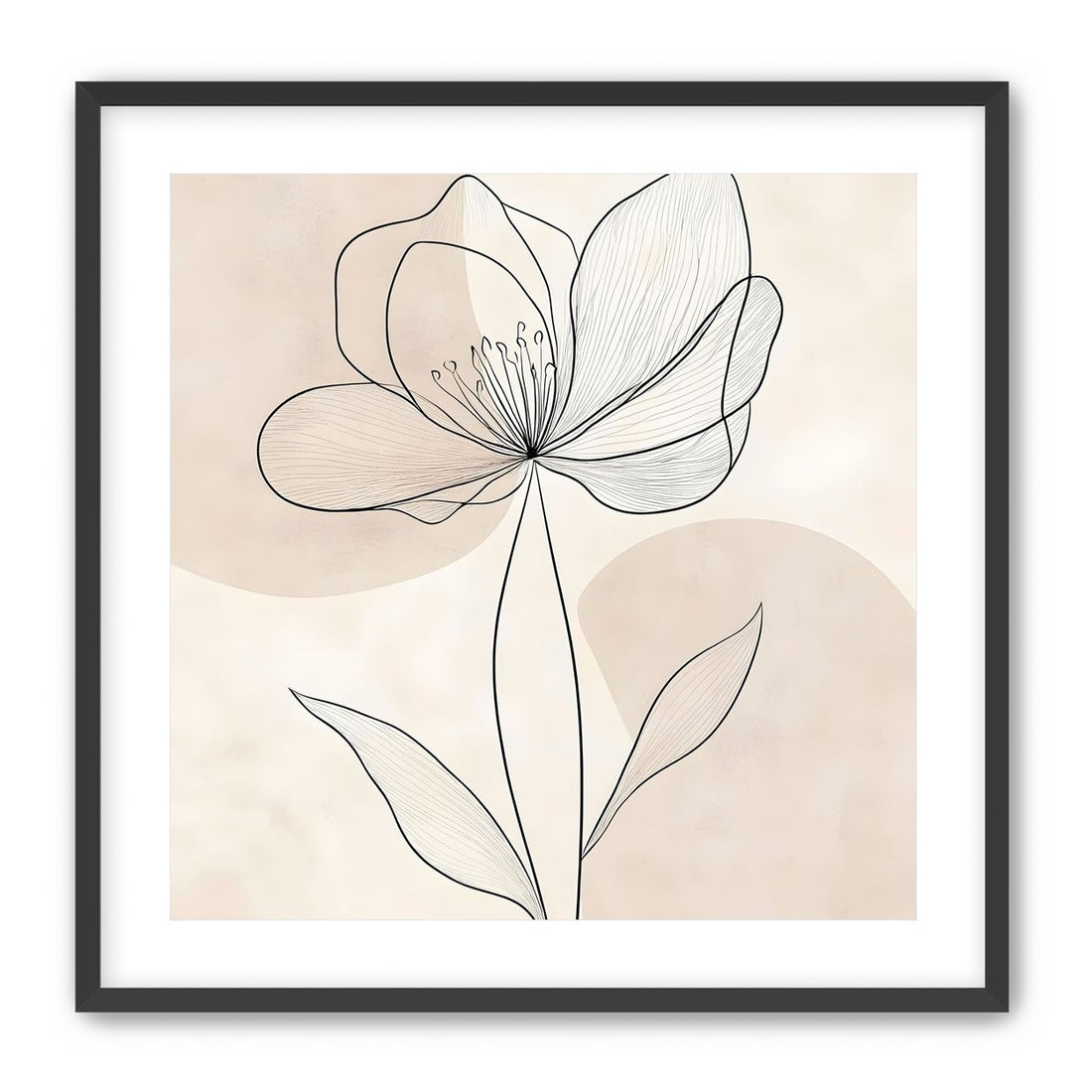 Single Bloom