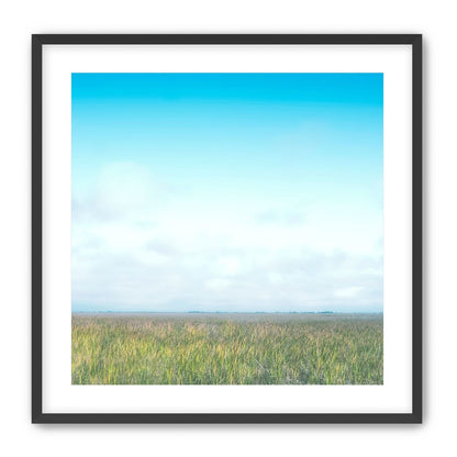 Grasslands