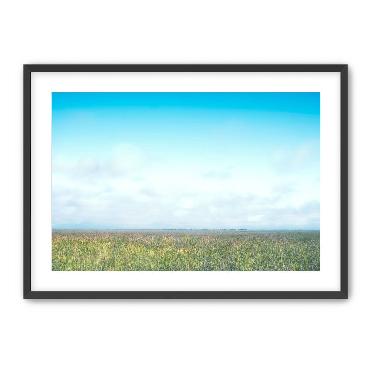 Grasslands