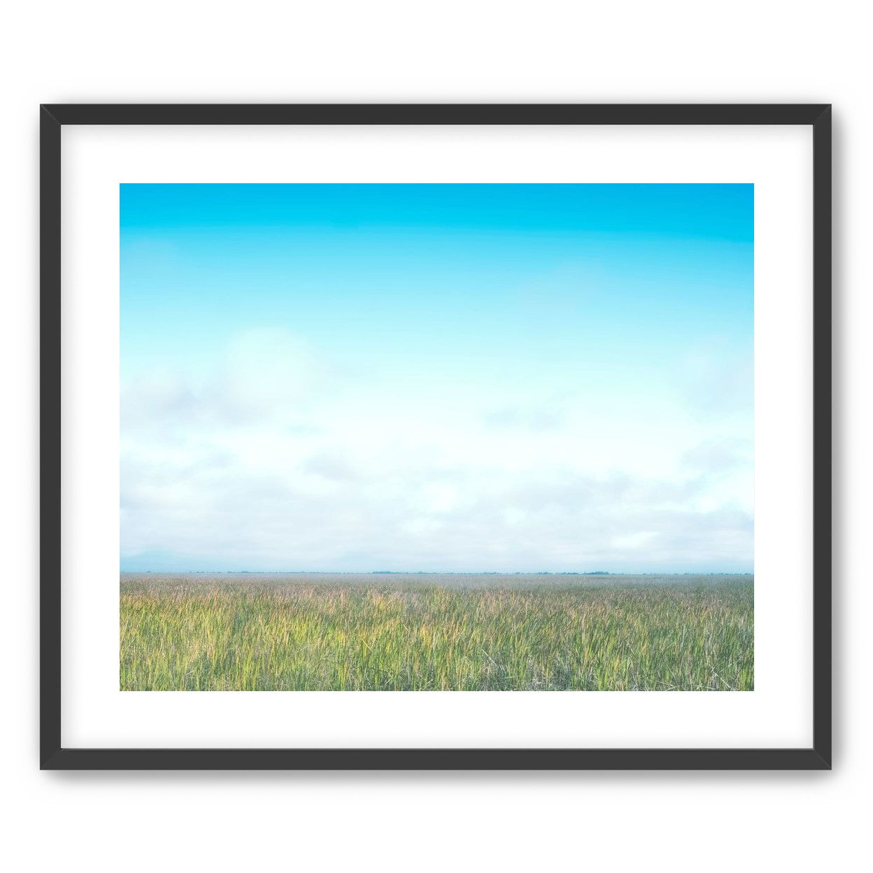 Grasslands