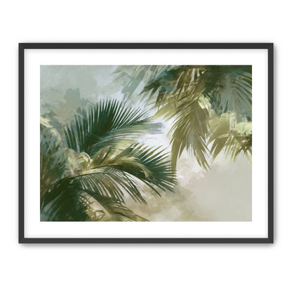 Palm Canopy