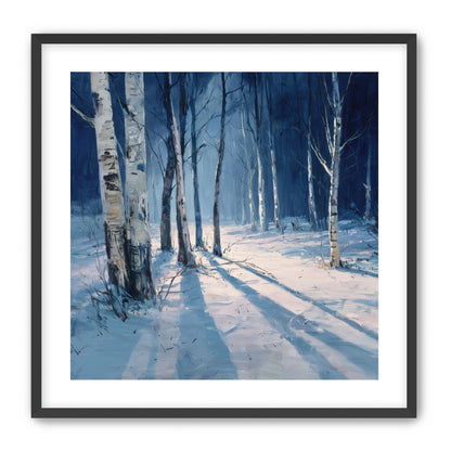 Snow Shadows Between Trunks