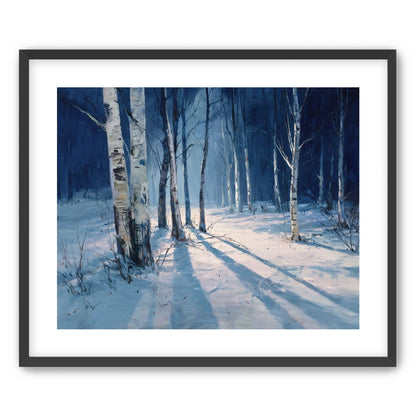 Snow Shadows Between Trunks