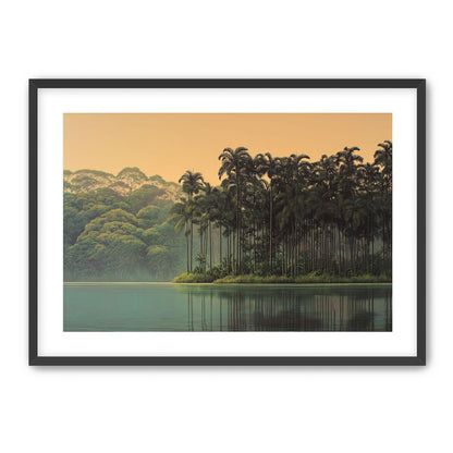 Tall Palms at Water