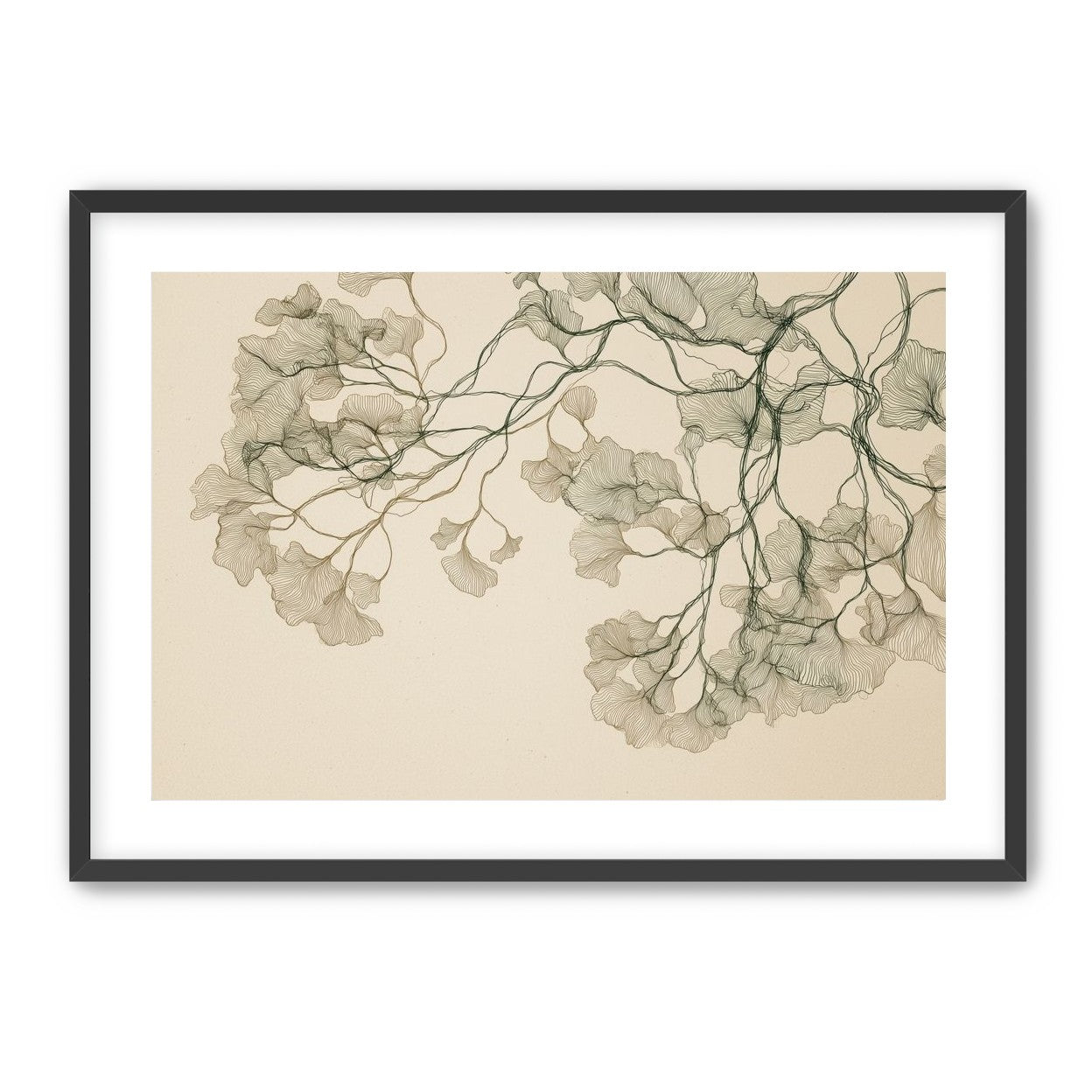 Open Canopies in Ink