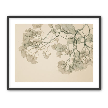 Open Canopies in Ink