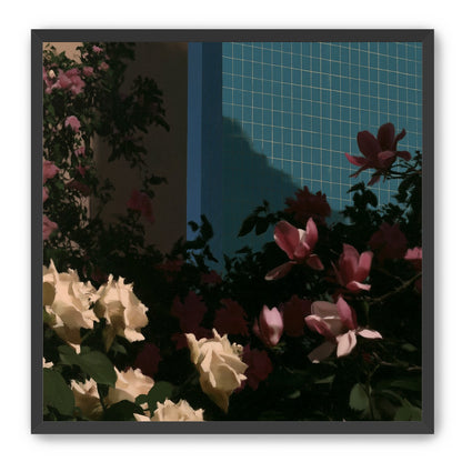 Flowers beneath the tiled wall