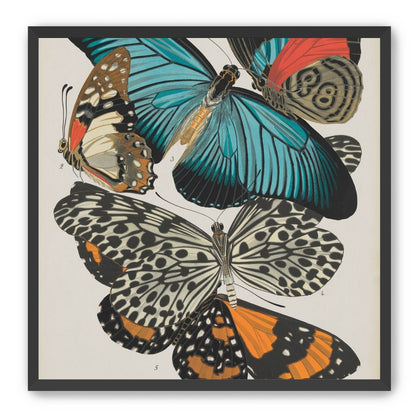 Turquoise wings over orange velvet