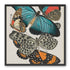 Turquoise wings over orange velvet