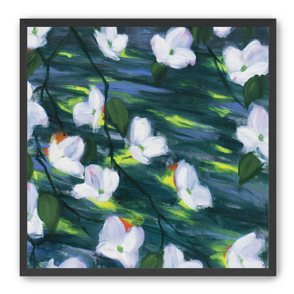 White blossoms on dark water