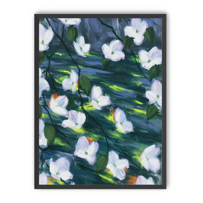 White blossoms on dark water