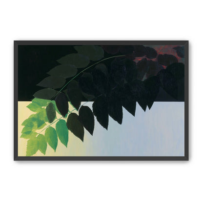 Leaves crossing into shadow