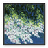 White blossoms in blue shade