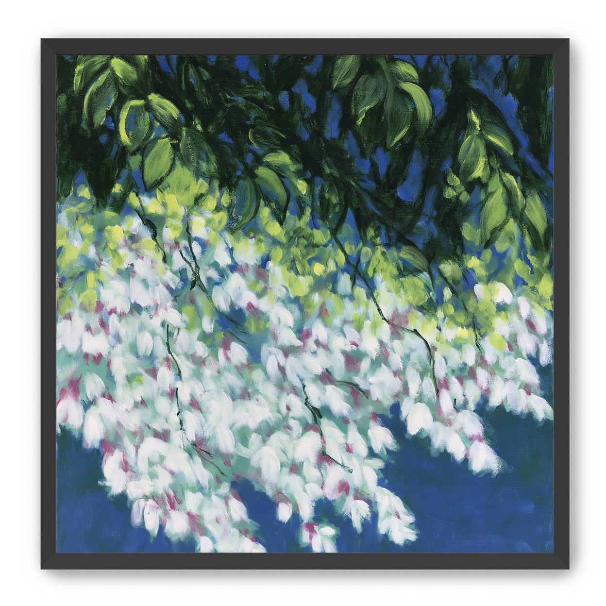 White blossoms in blue shade