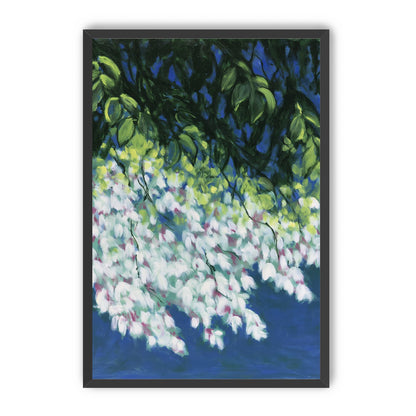 White blossoms in blue shade