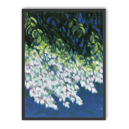 White blossoms in blue shade