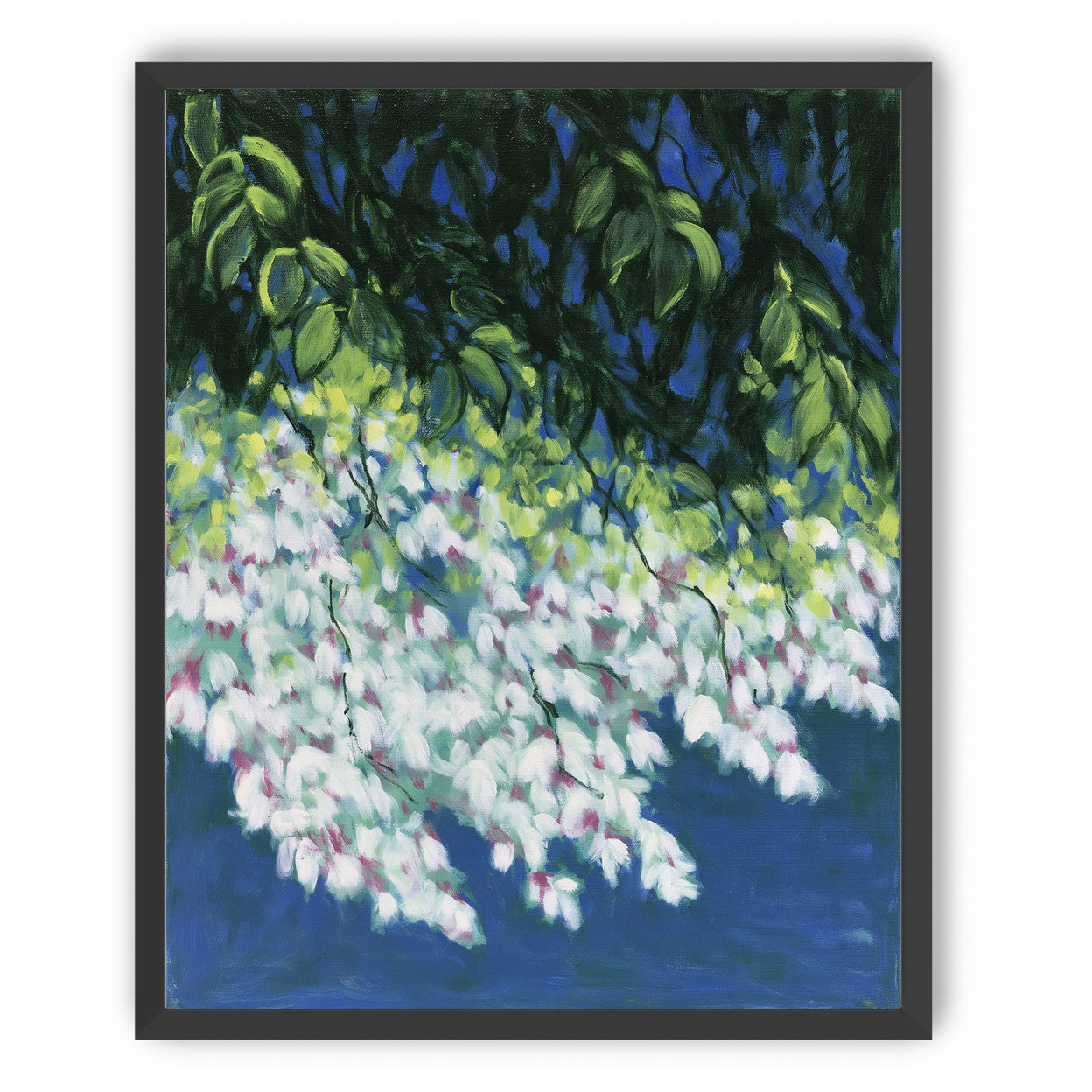 White blossoms in blue shade