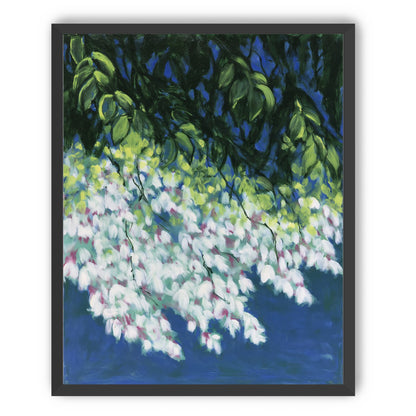 White blossoms in blue shade