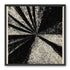 Black rays into grain