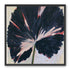 Dark petals across pale ground