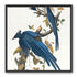 Butterfly under blue beaks