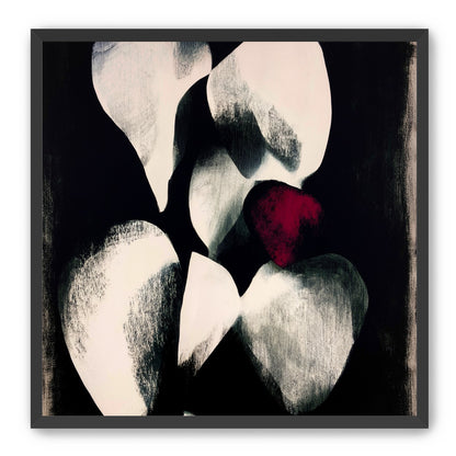 Red petal in shadowed bloom