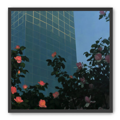 Roses beneath blue towers