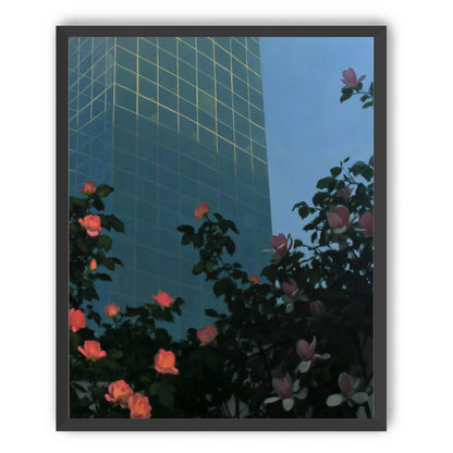 Roses beneath blue towers