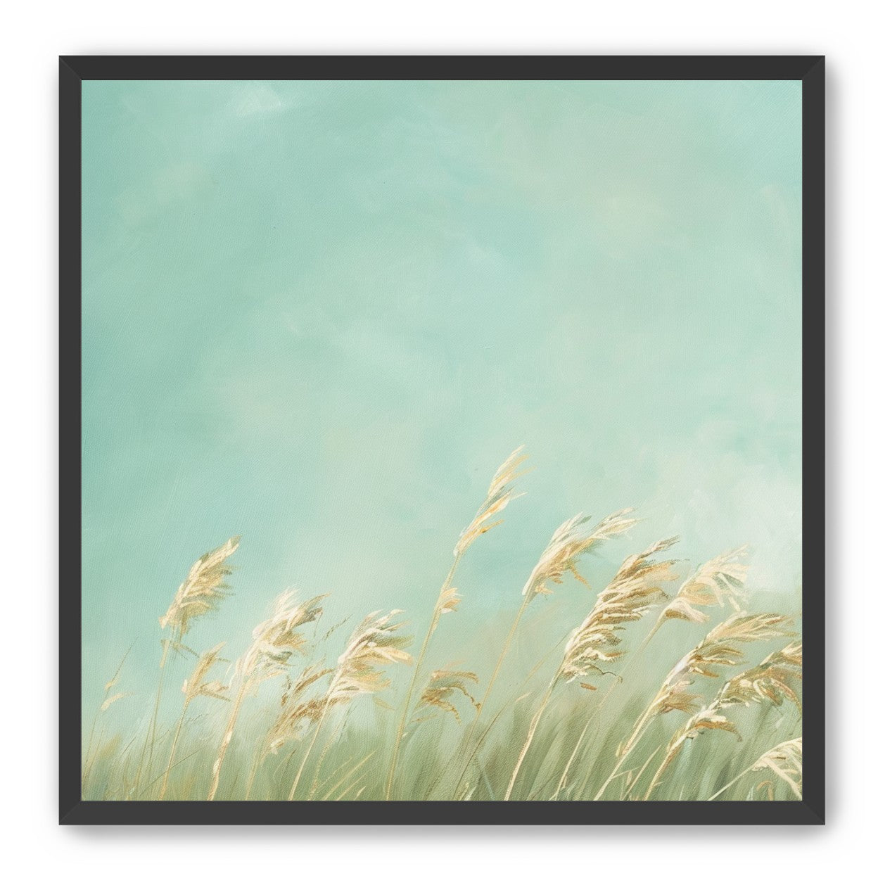 Turquoise sky over pale grass