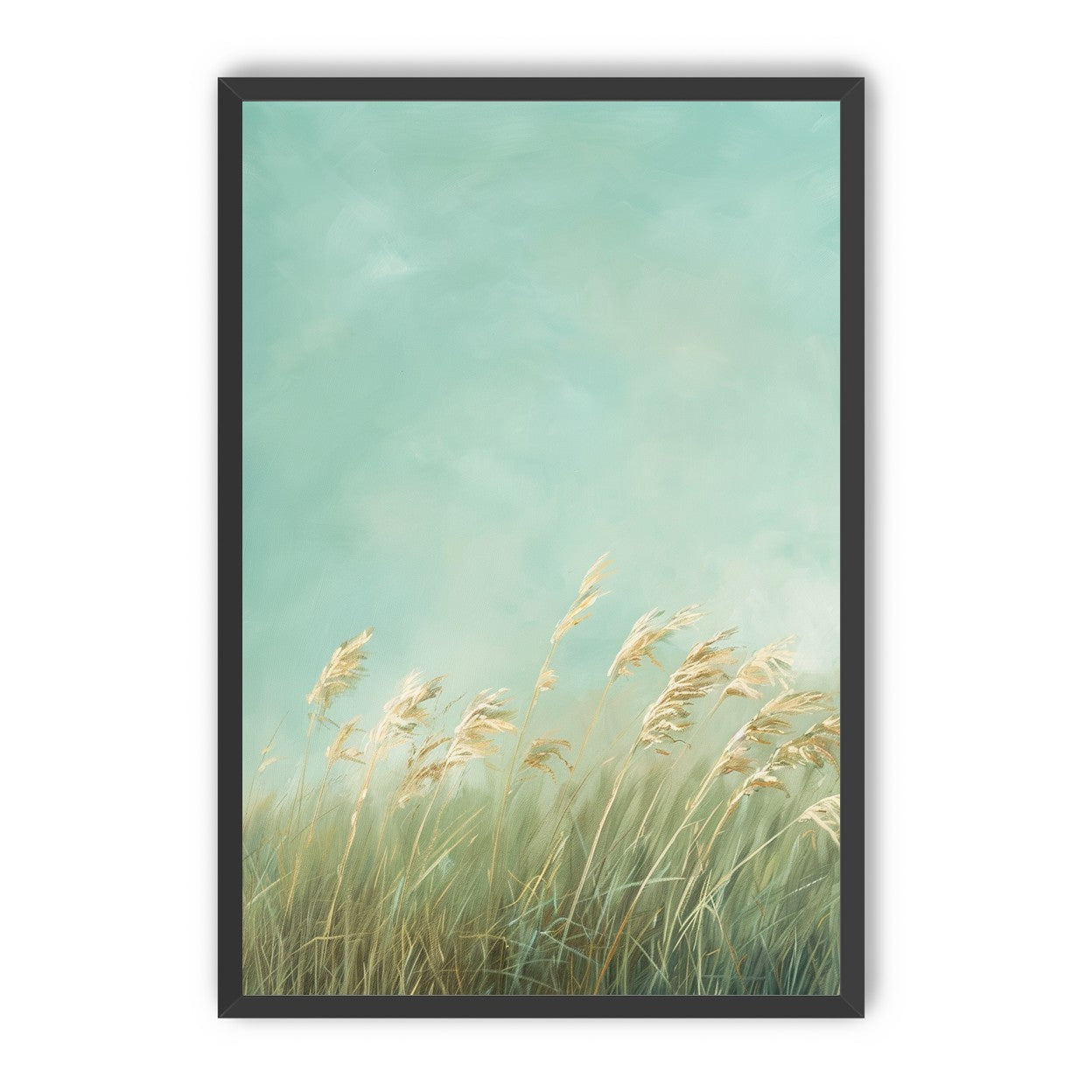 Turquoise sky over pale grass