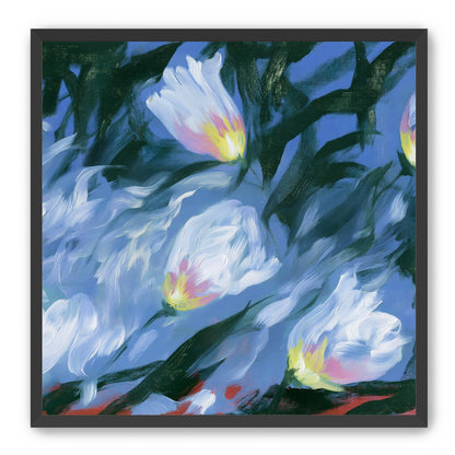 White tulips on blue ground