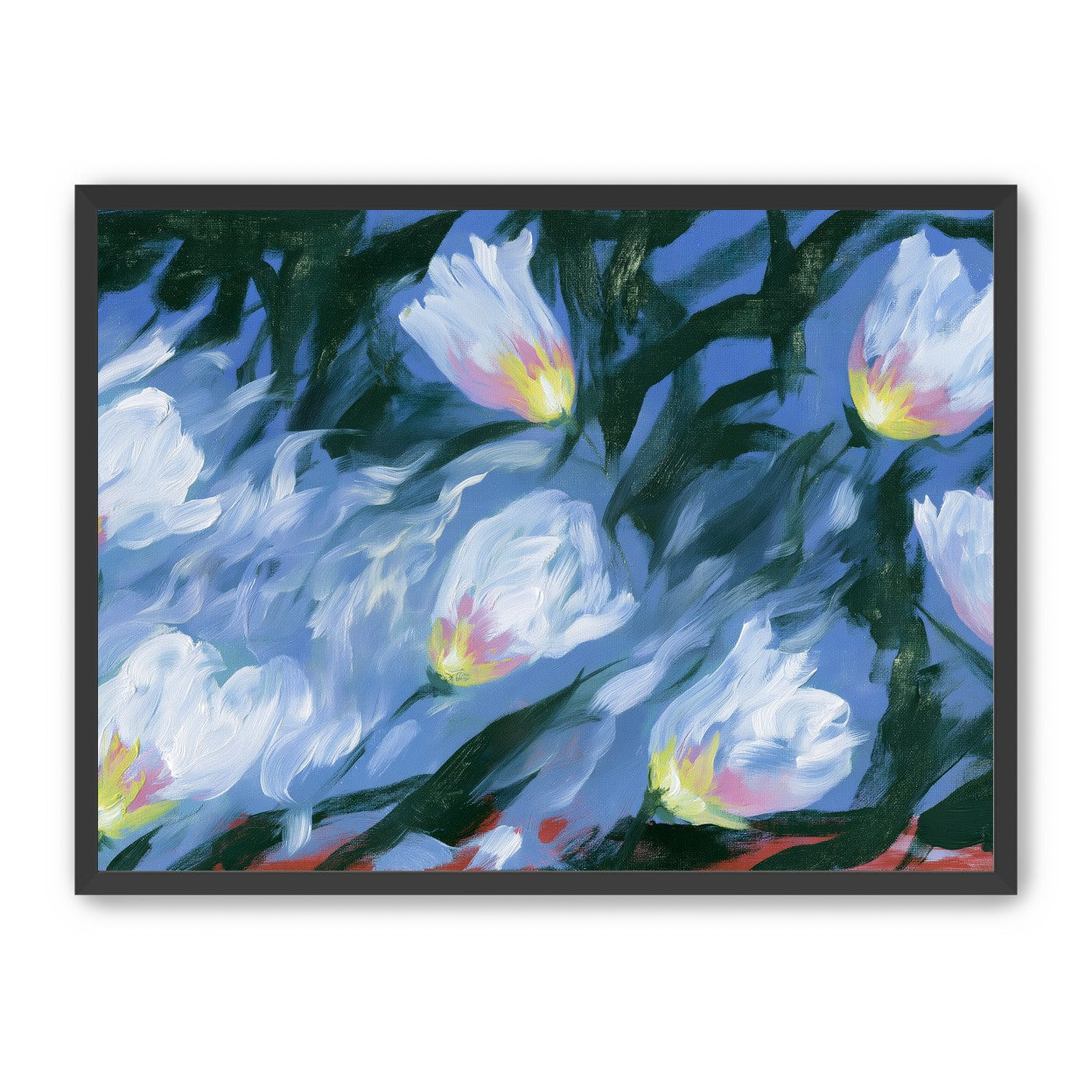 White tulips on blue ground