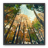 Canopy Lightfall