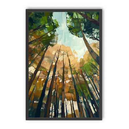 Canopy Lightfall