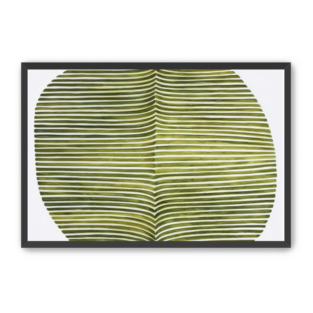 Dark green stripes crease inward