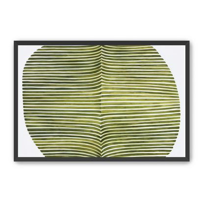 Dark green stripes crease inward