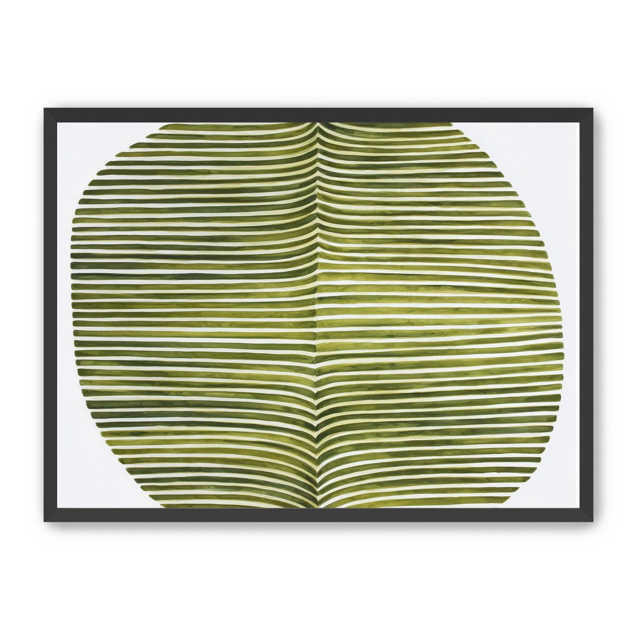 Dark green stripes crease inward