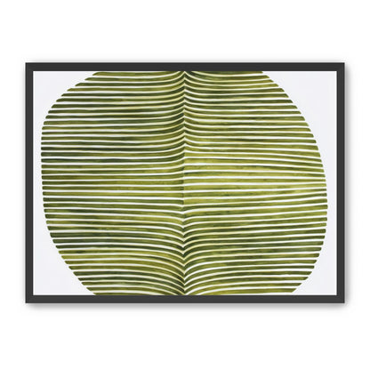 Dark green stripes crease inward