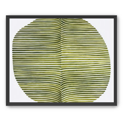 Dark green stripes crease inward