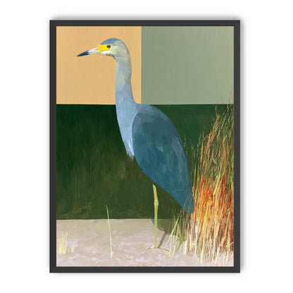 A heron beside the reeds