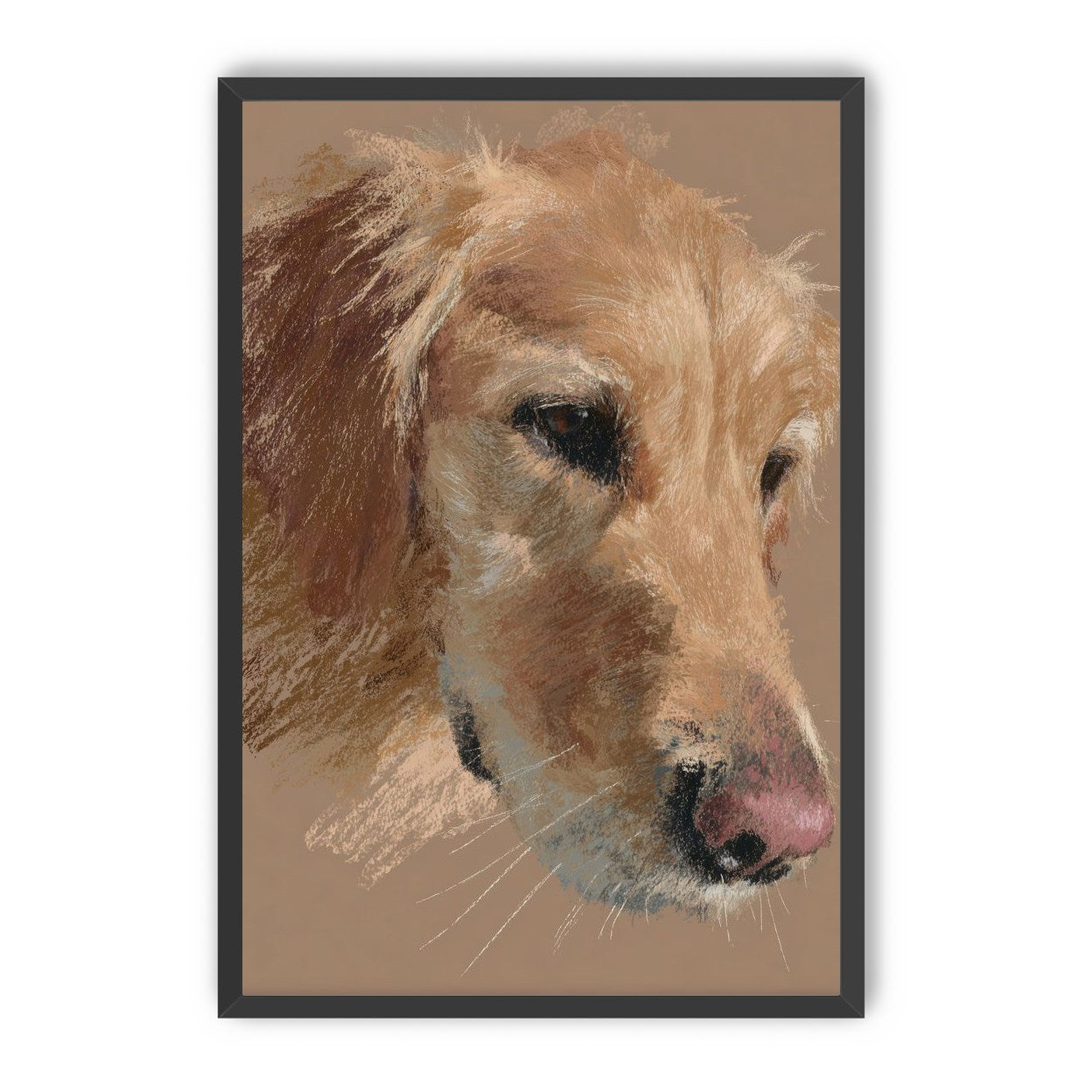 Warm browns on a golden retriever