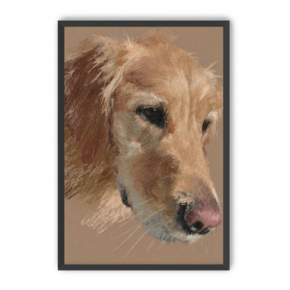 Warm browns on a golden retriever